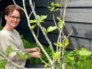 Verse kruiden in tuin - foto 3
