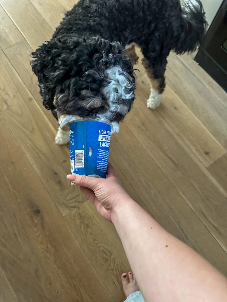 Legend likt de yoghurt bak schoon