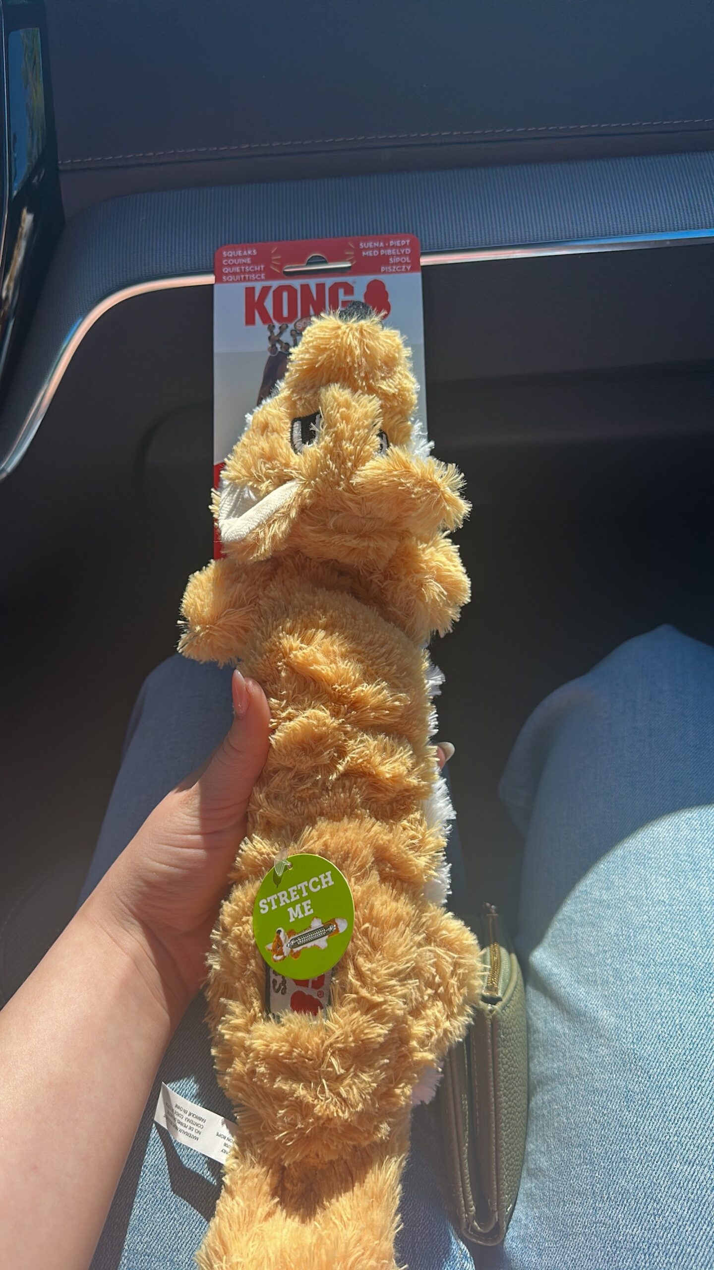 speeltje in de auto vasthouden
