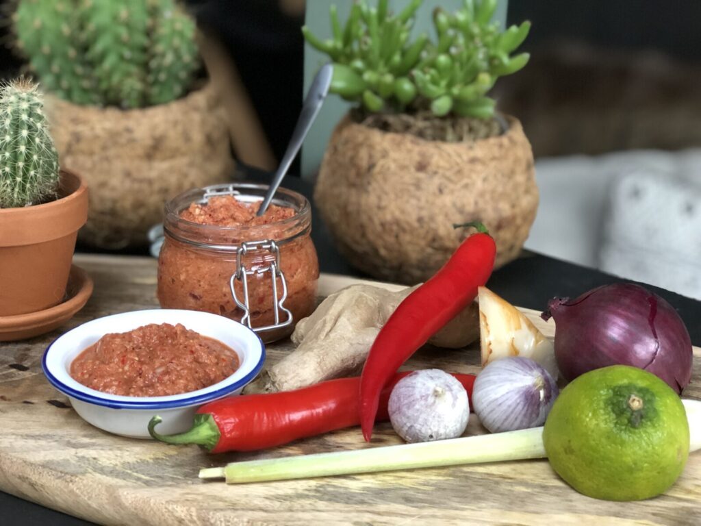 recept zelf een Thaise rode currypasta maken met rode peper, knoflook en diverse kruiden.