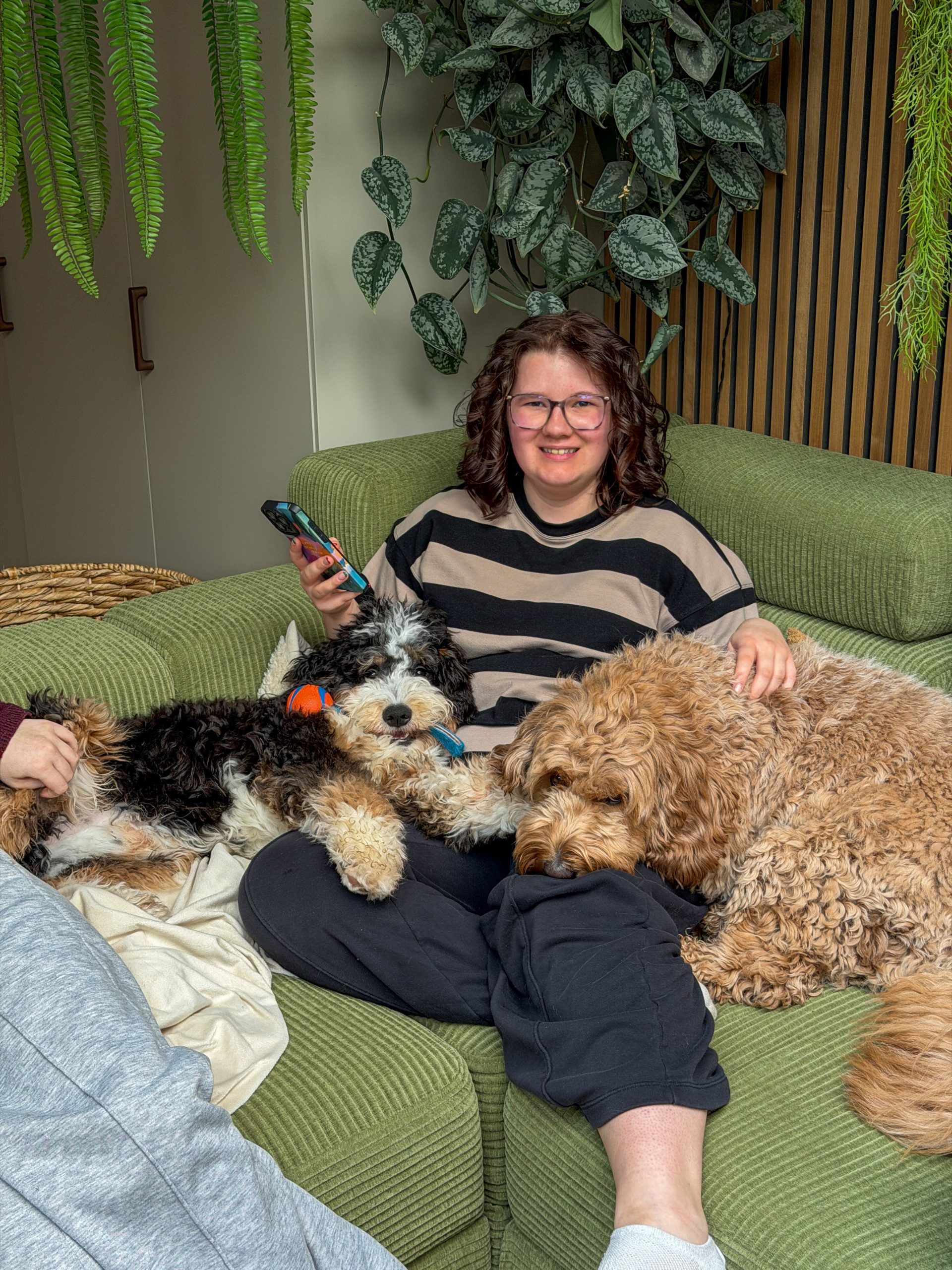 Beaudine met honden op bank - foto 2