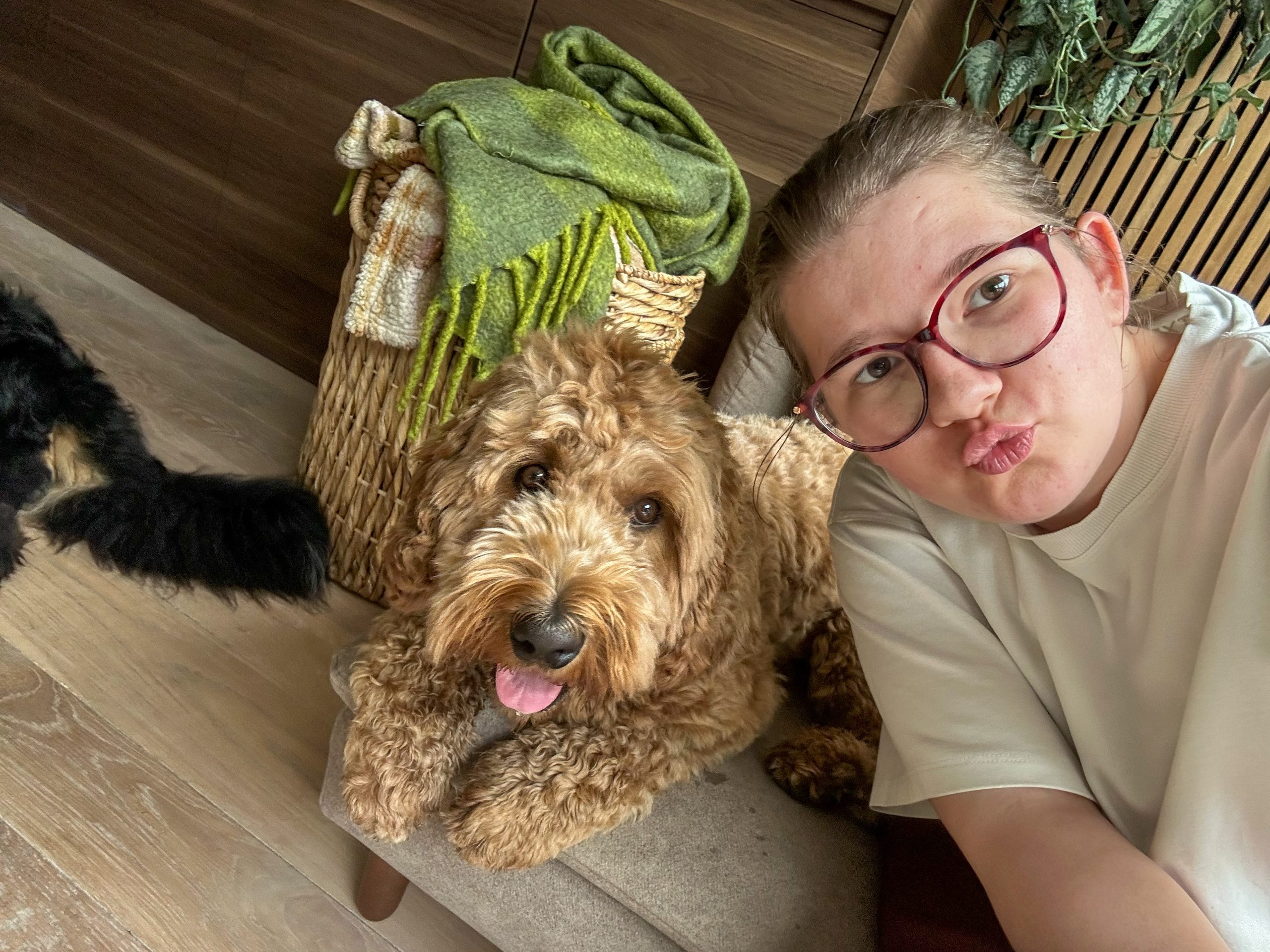 Thuis bij Familie over de Kook