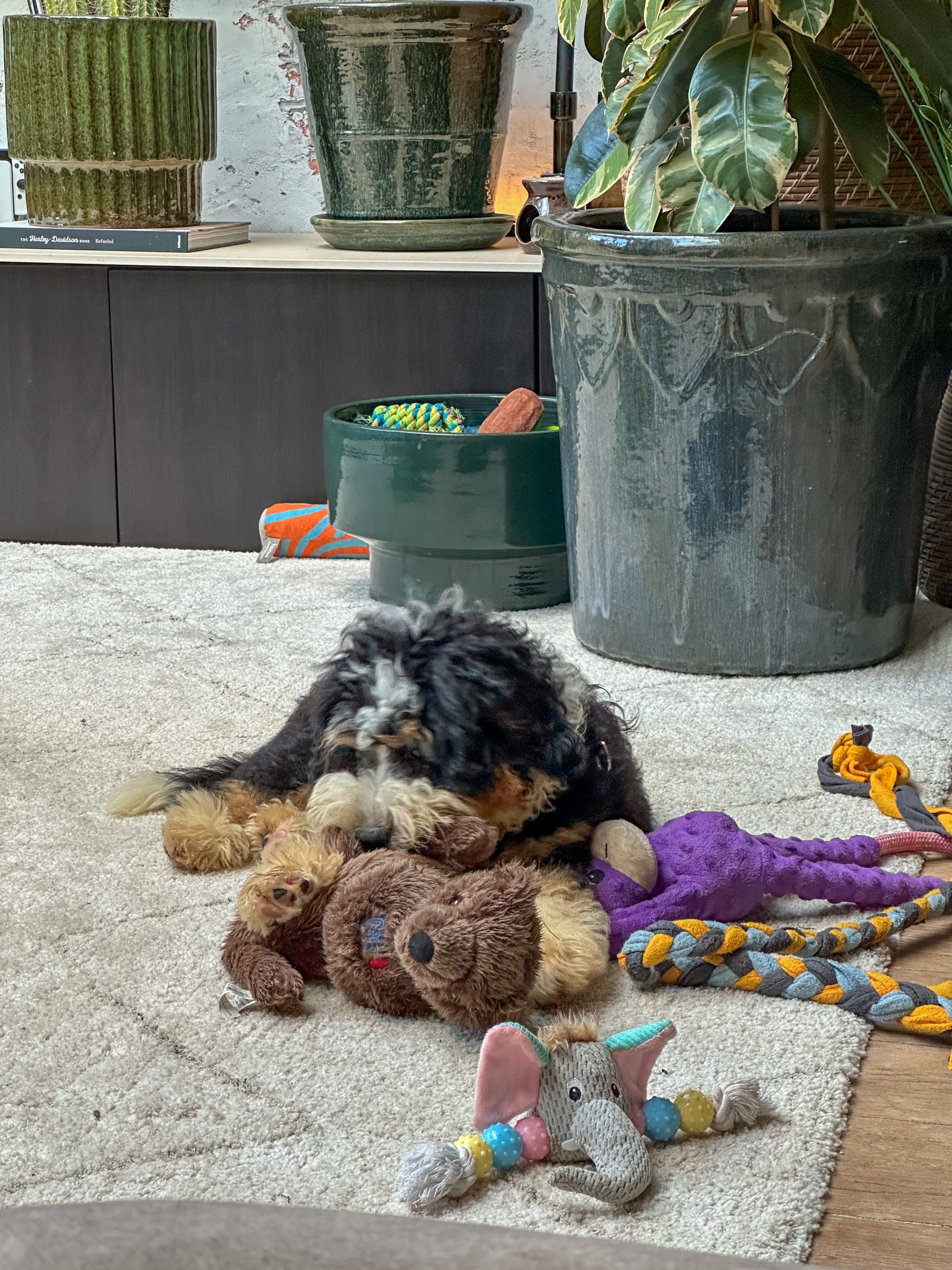 Legend - Thuis bij familie over de kook: week 36
