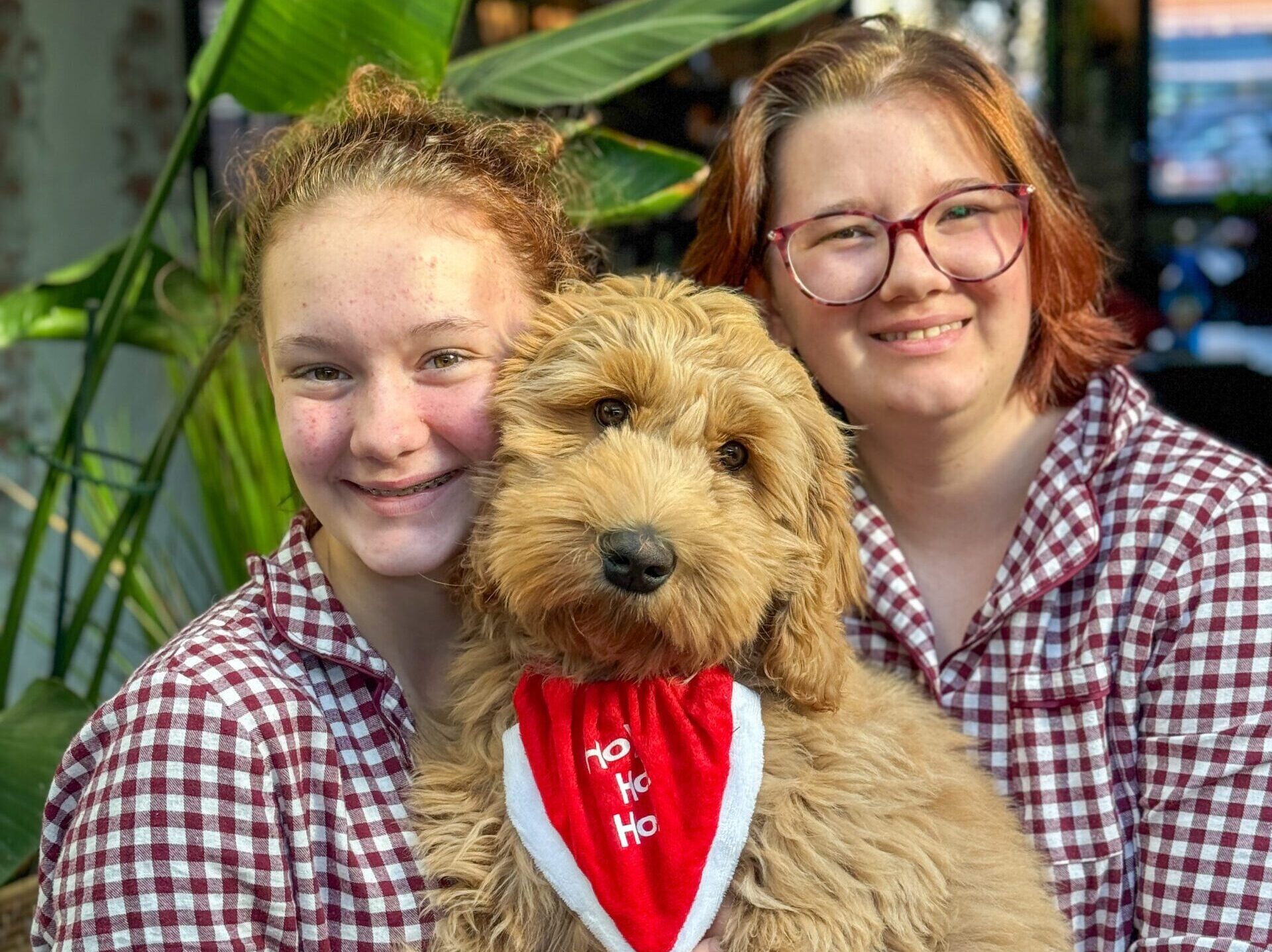 Thuis bij familie over de kook december - foto 19