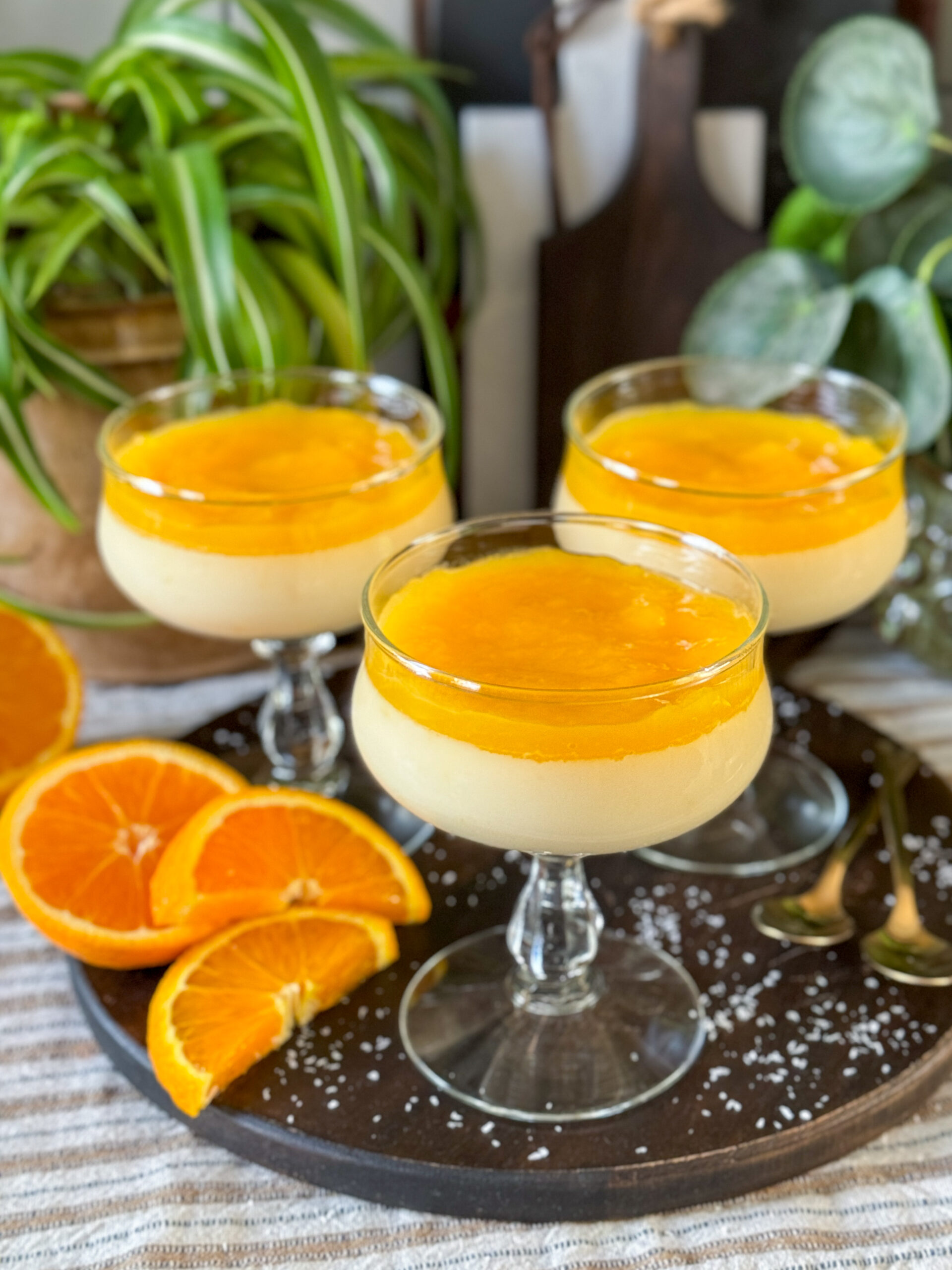 lactosevrije panna cotta met sinaasappelsaus