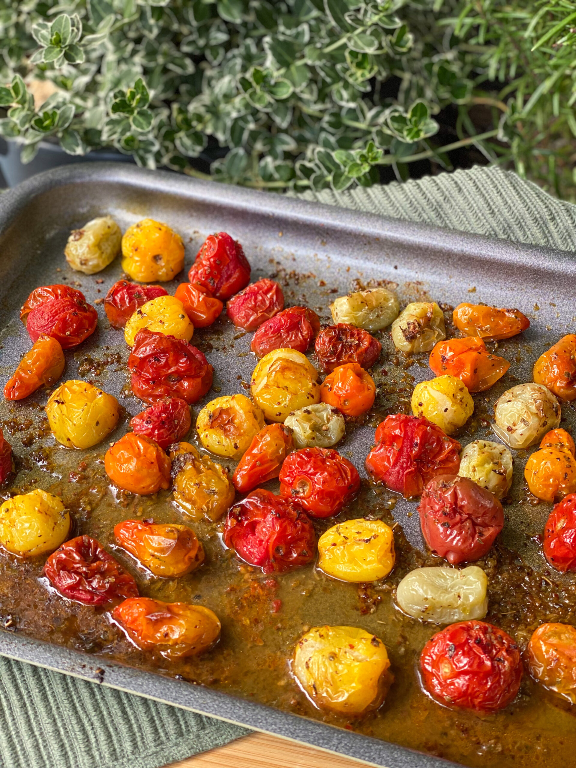 geroosterde tomaten uit de oven
