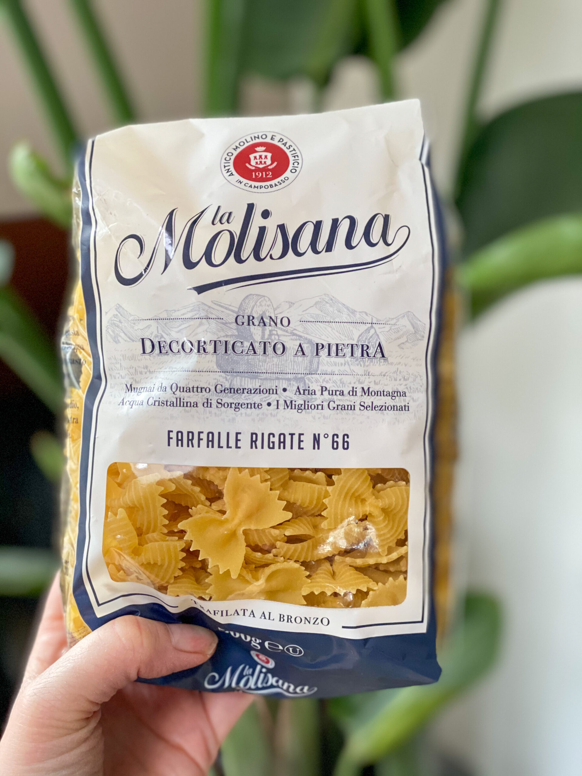 pasta vlinders