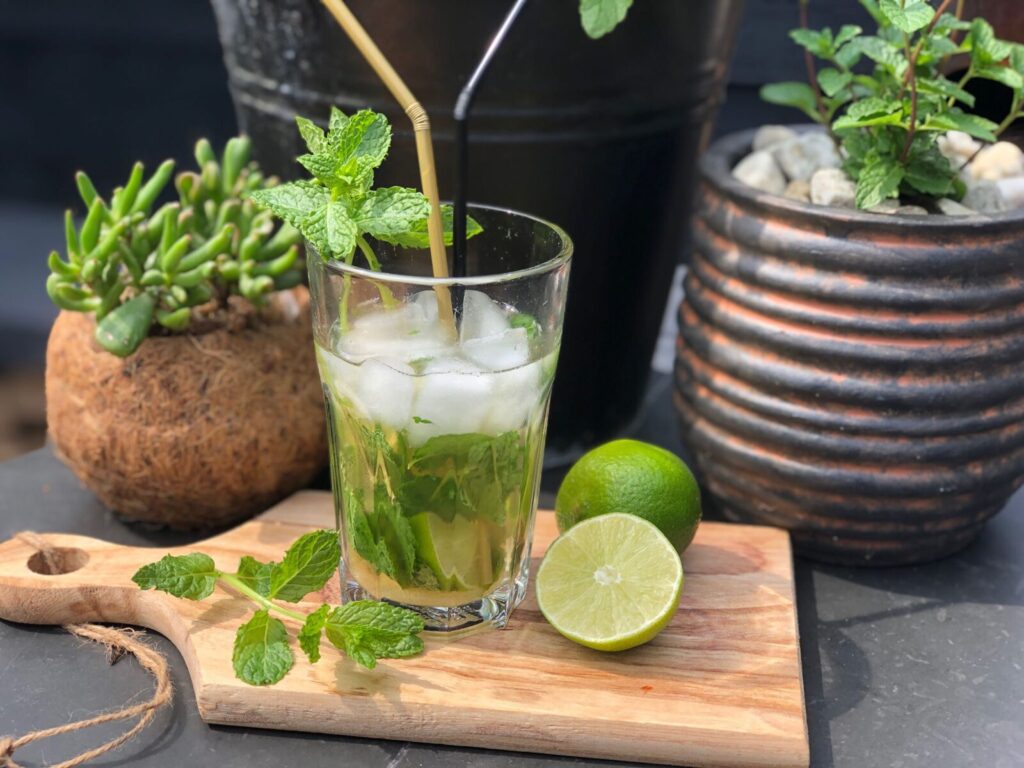 recept om zelf een alcoholvrije mojito te maken met munt en limoen