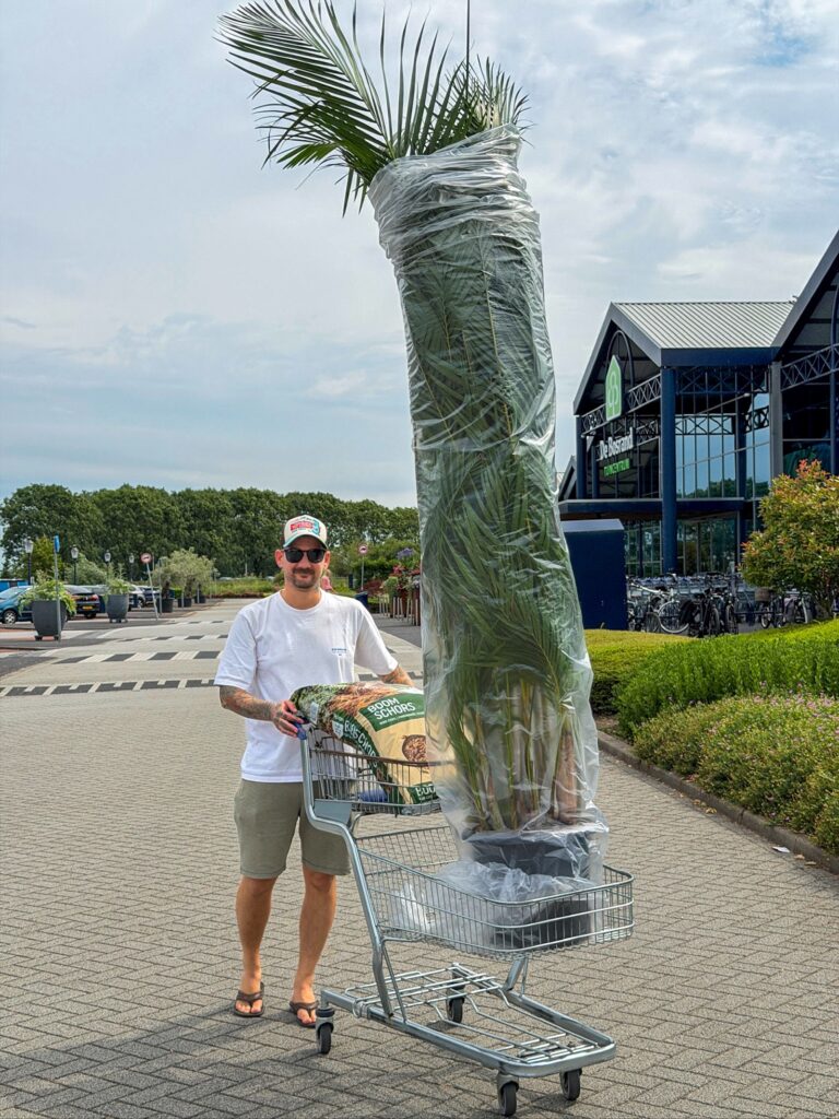 Jan Willem koopt een grote plant