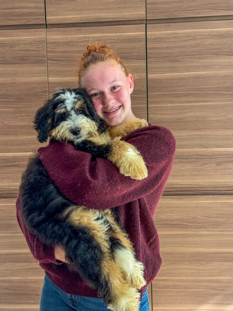 Knuffellen met legend