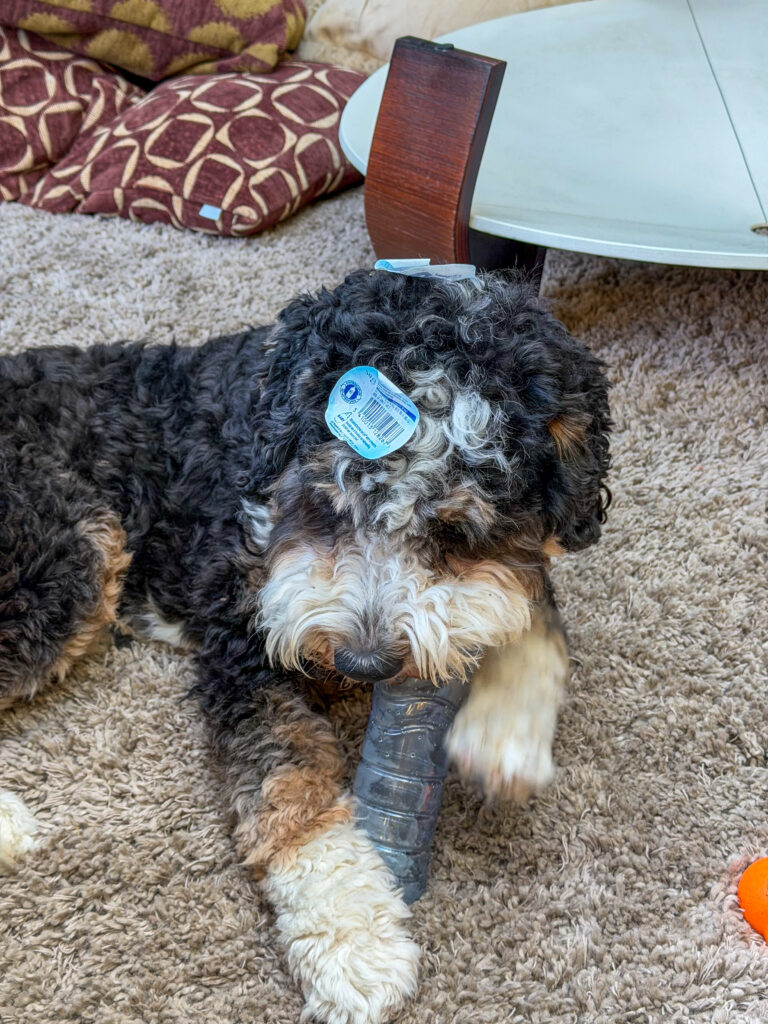 Legend speelt met een plastic flesje