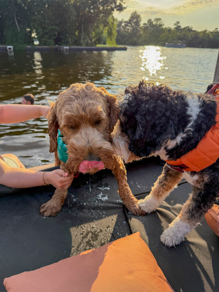 Teun komt uit het water