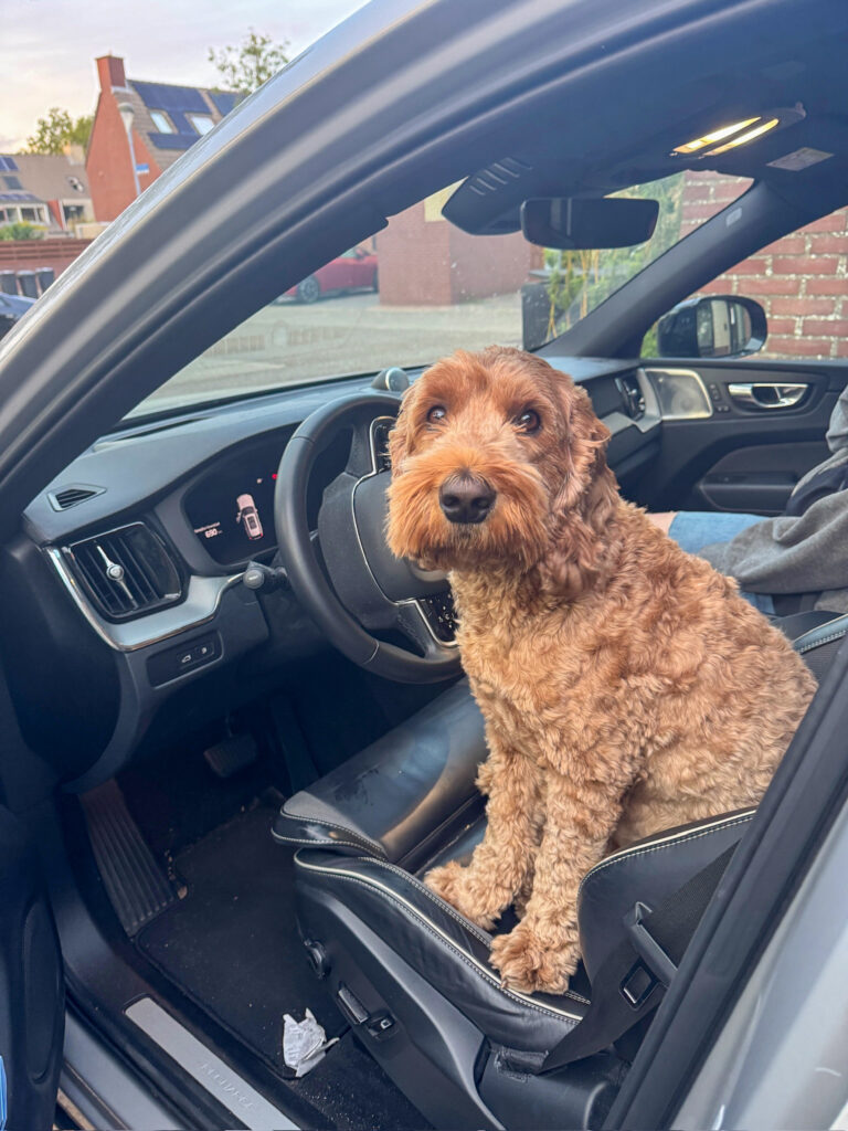 Teun zit achter het stuur in de auto