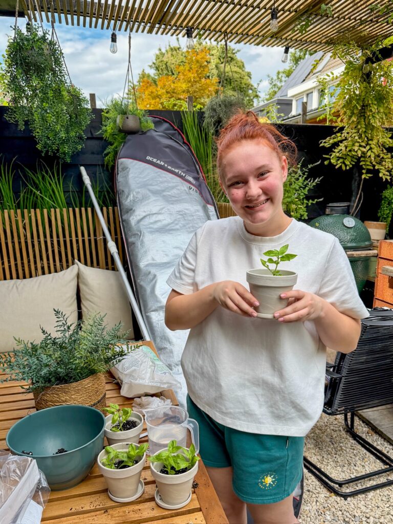 Amaranthe is plantjes aan het stekken in de tuin