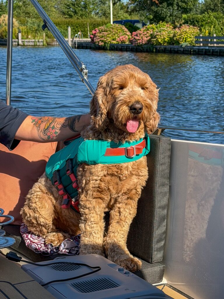 Teun zit op de boot onder de zon