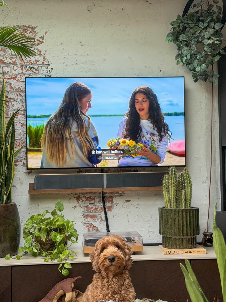 tv kijken: sterling point
