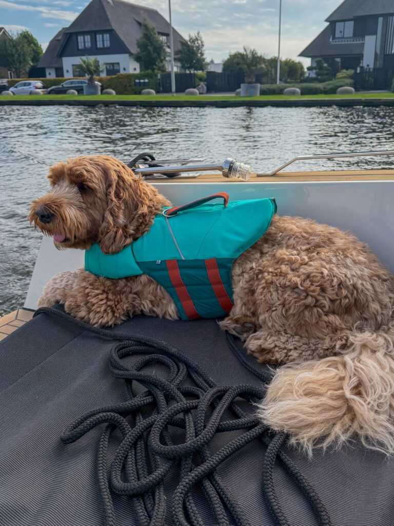 Hond Teun ligt op de boot