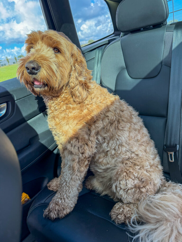Teun zit op de achterbank in de auto