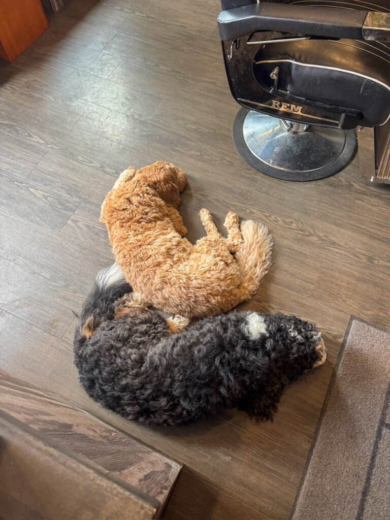Teun en Legend in de barbershop
